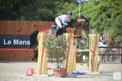 Jument 8 ans SF cso 