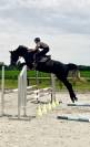 Hongre 4 ans CSO 