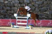 Hongre de 9 ans gagnant 135 
