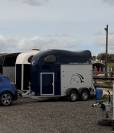 Location de van 1 place et demi - Transport de chevaux 