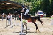 PONI SALTO PRA 