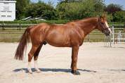 HORS SERIE DU MOULIN