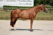 HORS SERIE DU MOULIN