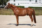 HORS SERIE DU MOULIN