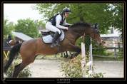 Jument CSO 