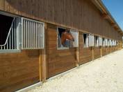 Pension chevaux