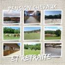 Pension chevaux