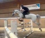 !**OCCASION**! Magnifique cheval de sport de CSO 120