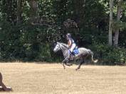Ponette D connemara 7 ans - Id&eacute;al CCE / CSO / Hunter
