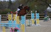 Cheval de 5ans