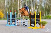 Jument selle fran&ccedil;ais 5 ans