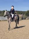 Top Poney de sport pour cso AS2/AS1