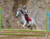 Centre de formation Equestre de Cenves