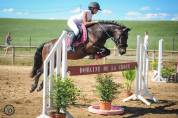 Poney-C-pfs-10ans