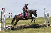 Hongre poney C &ndash; 10 ans &ndash; 1,36 m &ndash; CCE/CSO &ndash; Club &Eacute;lite