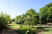PROPRIETE DE 15 HECTARES AVEC MAISON TARN ET GARONNE