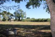 PROPRIETE DE 15 HECTARES AVEC MAISON TARN ET GARONNE