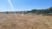 Other agricultural property  Charente-Maritime