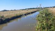 Other agricultural property  Charente-Maritime