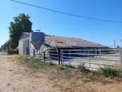 Other agricultural property  Charente-Maritime