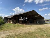 Other agricultural property  Allier