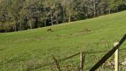 Lot-et-Garonne : Charmante propri&eacute;t&eacute; de 14 hectares (47