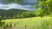 Lot-et-Garonne : Charmante propri&eacute;t&eacute; de 14 hectares (47