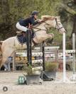 Poney FEI &agrave; vendre