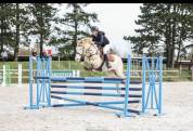 Poney FEI &agrave; vendre