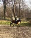 Jument sport et loisir