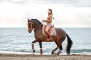 JUMENT LUSITANIENNE GP & SHOW NTERNATIONAL