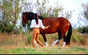 JUMENT LUSITANIENNE GP & SHOW NTERNATIONAL