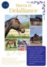 Cheval de sport