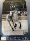 Poney C &agrave; louer 