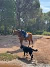 DSA PP 12 ans - Assurance vie - Endurance - TREC - Rand