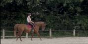 DSA PP 12 ans - Assurance vie - Endurance - TREC - Rand
