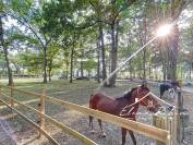 PROPRIETE EQUESTRE D'EXCEPTION