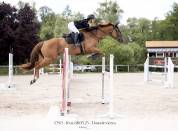 Cheval CSO
