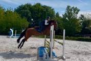 Odis&eacute;a Gentille jument de 8 ans , 1.55 au garrot 