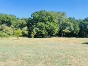 Logement en nature &agrave; partager avec les chevaux