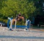 Canela Jolie jument de 4 ans