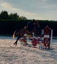 Canela Jolie jument de 4 ans