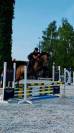 Canela Jolie jument de 4 ans