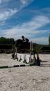 Bailarina, Magnigique jument de 4 ans 