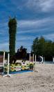 Bailarina, Magnigique jument de 4 ans 