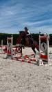 Bailarina, Magnigique jument de 4 ans 