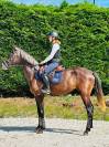 Bailarina, Magnigique jument de 4 ans 