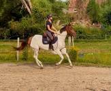 Urkanna Hapiness, Magnifique jument de 5 ans 