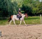 Urkanna Hapiness, Magnifique jument de 5 ans 