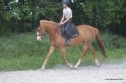 Ponette de Club / de Sport - Peepa - 10 ans